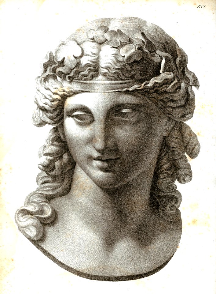 Dionysos (Nach einer Zeichnung von Seidelmann) - Horner Johann Jakob - 1843