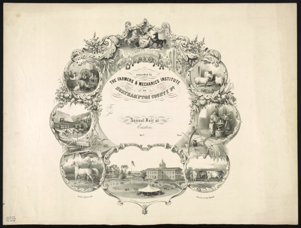 Diploma awarded by Farmers & Mechanics Institute of Northampton County Pa. - James Queen, del. ; from a photograph by Ruben Knecht, Easton, Pa. ; Duval & Co's. Lith. Philada. LCCN2013650008