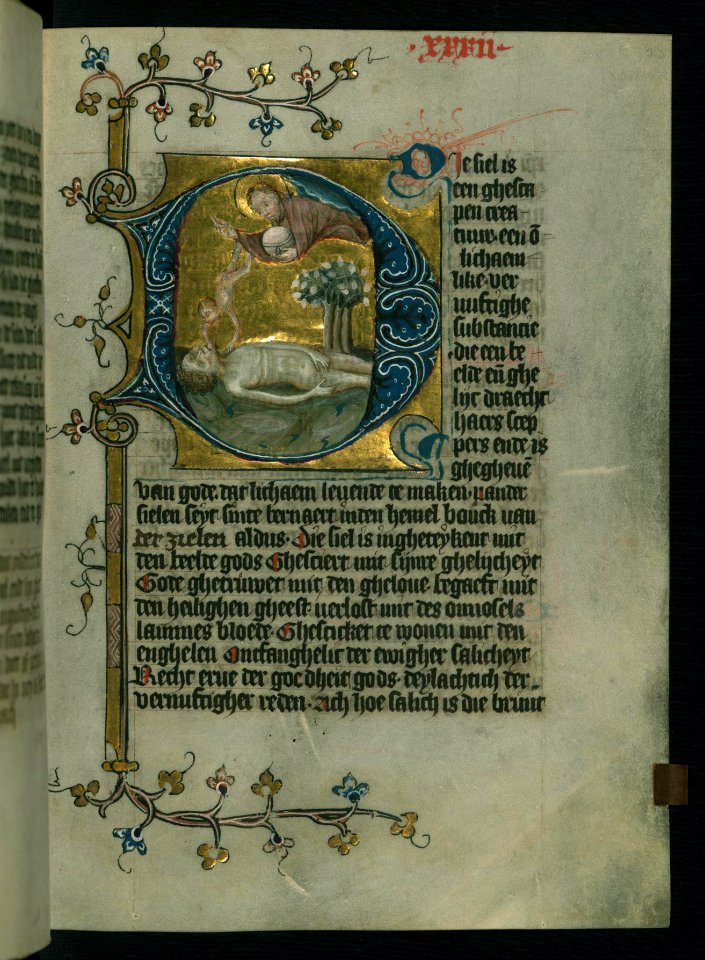 Dirc van Delft - God Bestowing a Soul on Adam - Walters W17125R - Full Page
