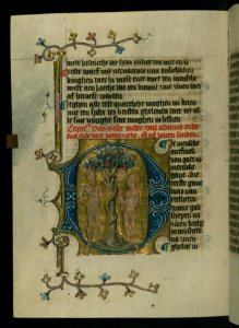 Dirc van Delft - The Fall of Adam and Eve - Walters W17185V - Full Page