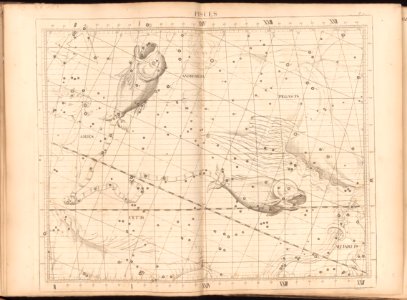 1753 illustration - Pisces by John Flamsteed