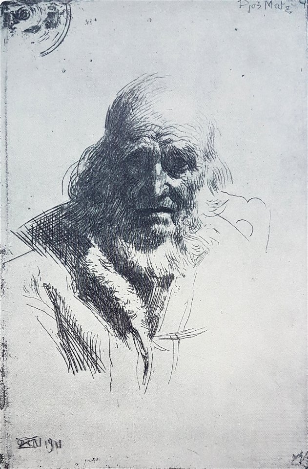 Djos Mats x Anders Zorn