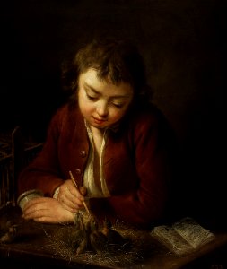Charpentier Boy feeding chicks