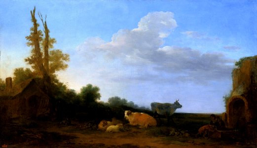Casanova Cattle on pasture