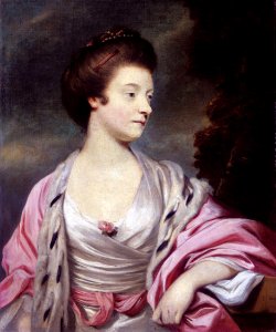 Elizabeth, Lady Amherst (1740-1830) by Joshua Reynolds. Free illustration for personal and commercial use.