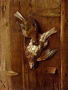 Oudry Trompe l'oeil with dead birds
