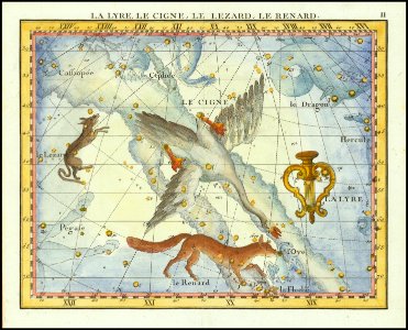 1776 - John Flamsteed - La Lyre, Le Cigne, Le Lezard, Le Renard (Lyra, Cygnus, Lacerta, Vupecula)