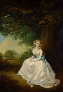 Arthur William Devis - Lady Chambers - Google Art Project. Free illustration for personal and commercial use.