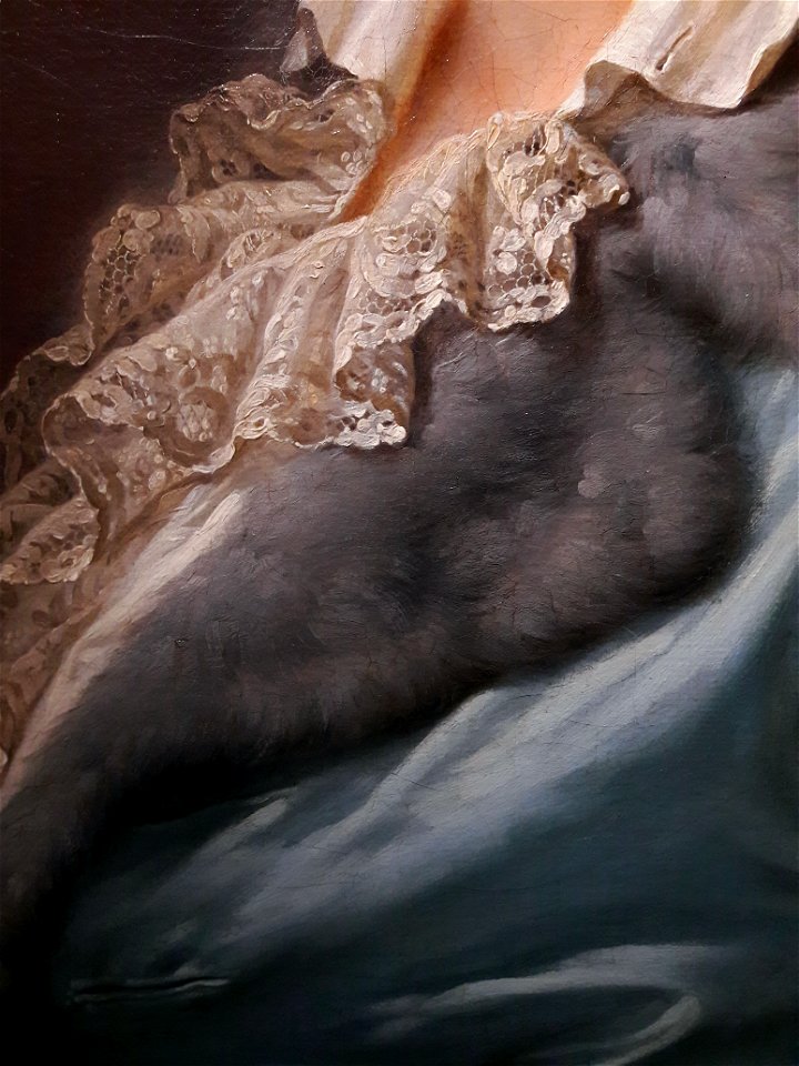 Lampi Stanislaus Augustus in a dressing-gown (detail) 02