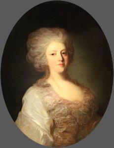 Rokotov PNDolgorukova