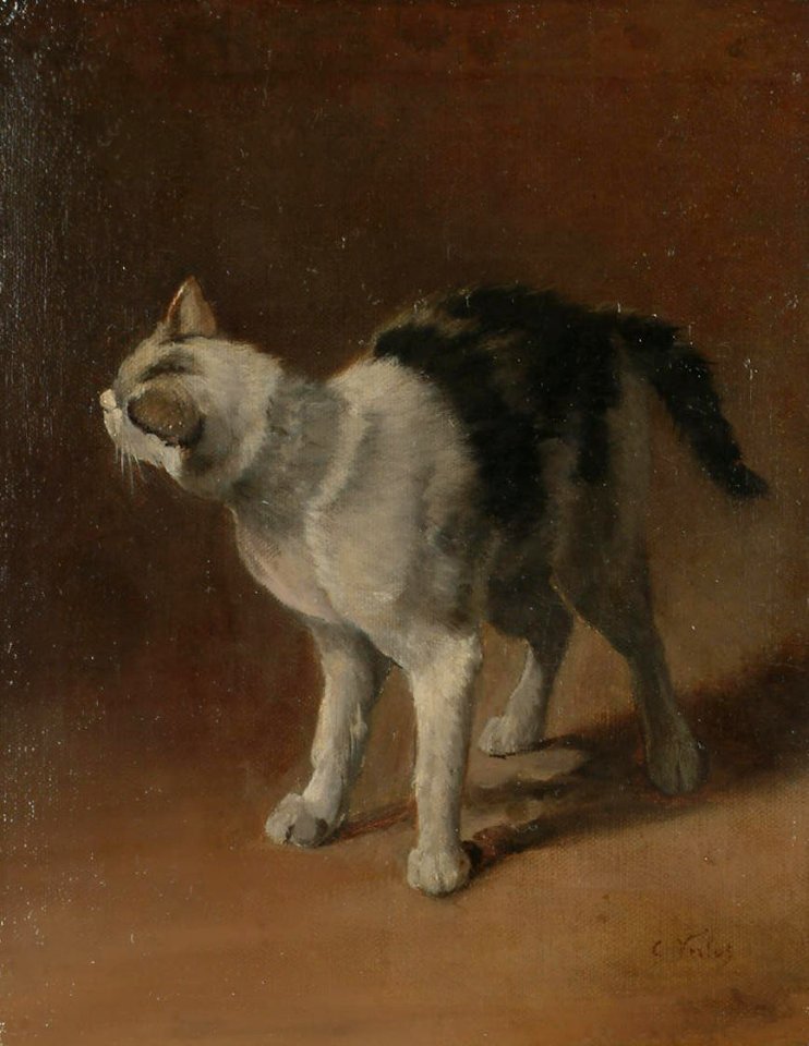 Charles Verlat - Study of a black and white cat