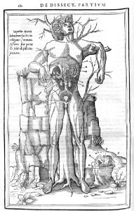 180 Charles Estienne 1545