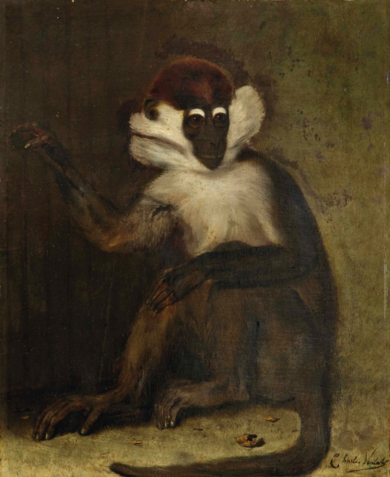 Charles Verlat - A macaque