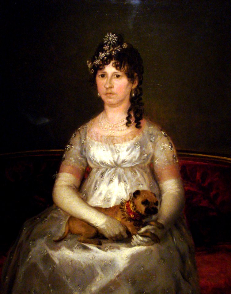 Dona Francisca Vicenta Chollet y Caballero by Francisco de Goya y Lucientes