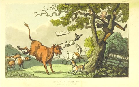 SYNTAX(1813) - 08 - Doctor Syntax, Pursued by a Bull