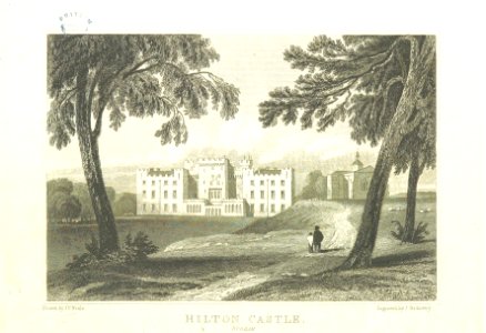 Neale(1818) p1.266 - Hilton Castle, Durham