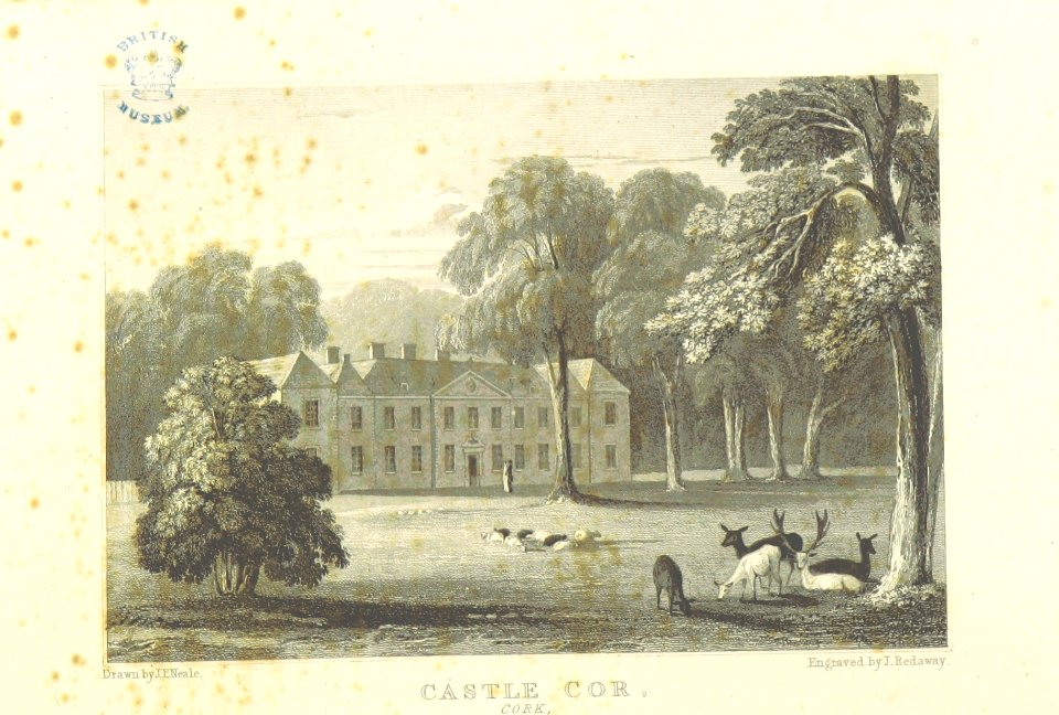 Neale(1818) p6.266 - Castle Cor, Cork