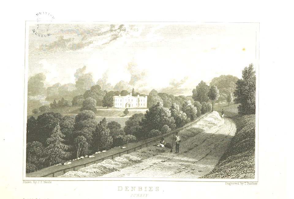 Neale(1826) p3.174 - Denbies, Surrey