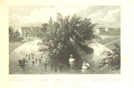 An Island on the Lake, and Part of Cornwall and Clarence Terrace, Regent's Park - Shepherd, Metropolitan Improvements (1828), p205. Free illustration for personal and commercial use.