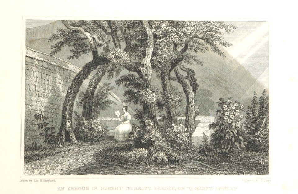 MA(1829) p.169 - An Arbour in Regent Murray's Garden, or Queen Mary's Bower - Thomas Hosmer Shepherd
