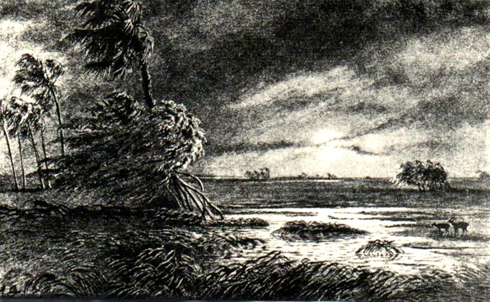 Anton Goering 06