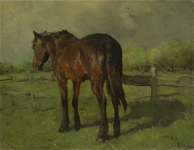 Anton Mauve - Paard