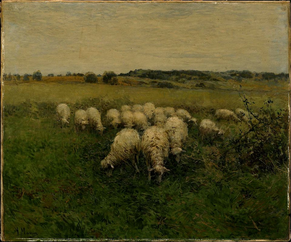 Anton Mauve - Sheep Grazing in an Open Field - 17.3238 - Museum of Fine Arts