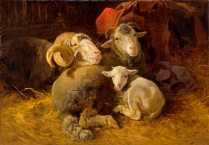 Anton Schrödl - Schafe im Stall - 3737 - Kunsthistorisches Museum