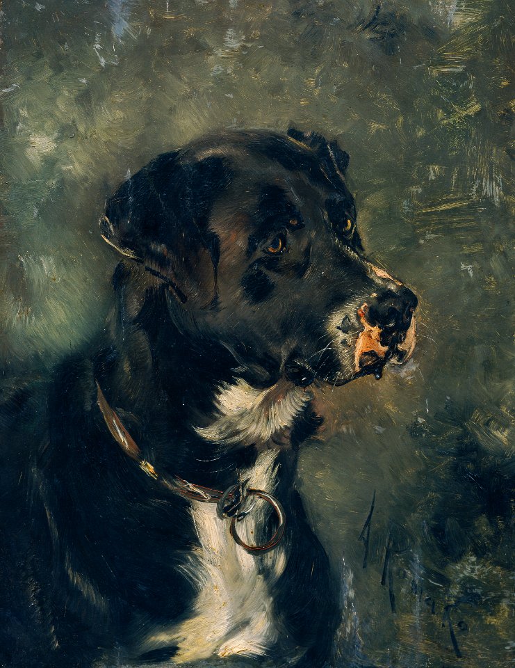 Anton Romako - Kopf eines Fleischerhundes - 4709 - Österreichische Galerie Belvedere