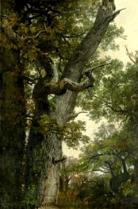 Anton von Werner Knorrige Eiche bei Namur