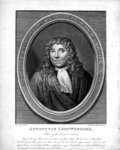 Antoni van Leeuwenhoek (par Smith)