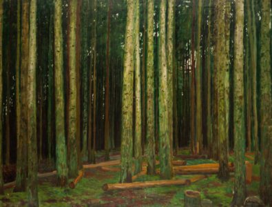 Antonin Hudecek Im Waldesinneren