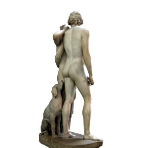 Antonio Canova-Venus and Adonis-LG 4929-IMG 9121-white