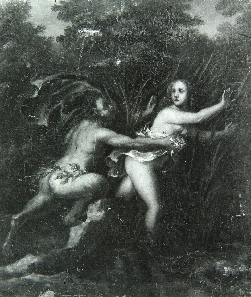 Antonius Angermeyer - Bežeča nimfa