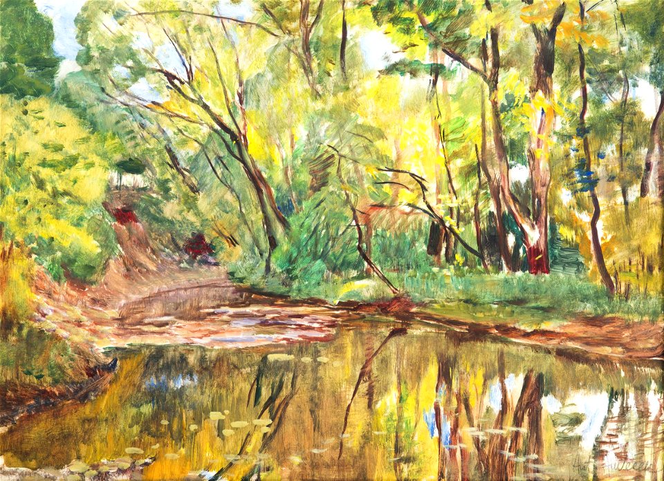 Antonín Hudeček - Brook in the Forest II