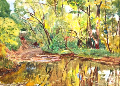 Antonín Hudeček - Brook in the Forest II