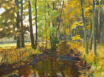Antonín Hudeček - Brook in the Forest