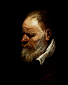 Antoon van Dyck - Cabeça de homem barbado. Free illustration for personal and commercial use.