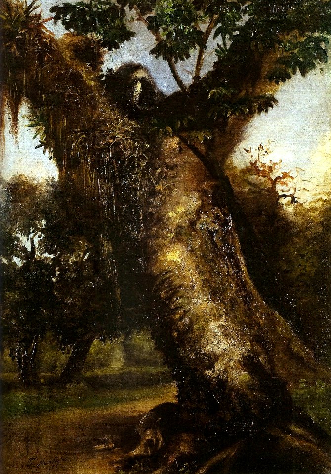 Antônio Firmino Monteiro - s. título, ost, 1881