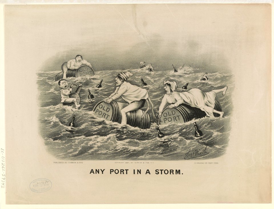 Any port in a storm LCCN90708639
