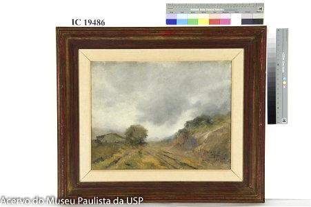 Antônio Diogoda Silva Parreiras - Paisagem, Acervo do Museu Paulista da USP