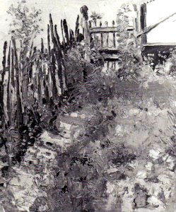 Apcar Baltazar - Curtea