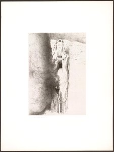 Apocalypse de Saint-Jean by Odilon Redon 04