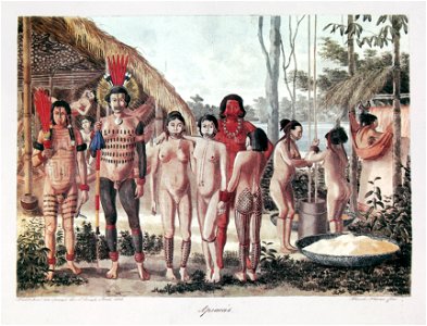 Apiacas. Habitation des Apiacas sur l'Arinos, Avril, 1828. Hercule Florence, fecit., do acervo do Instituto Hercule Florence
