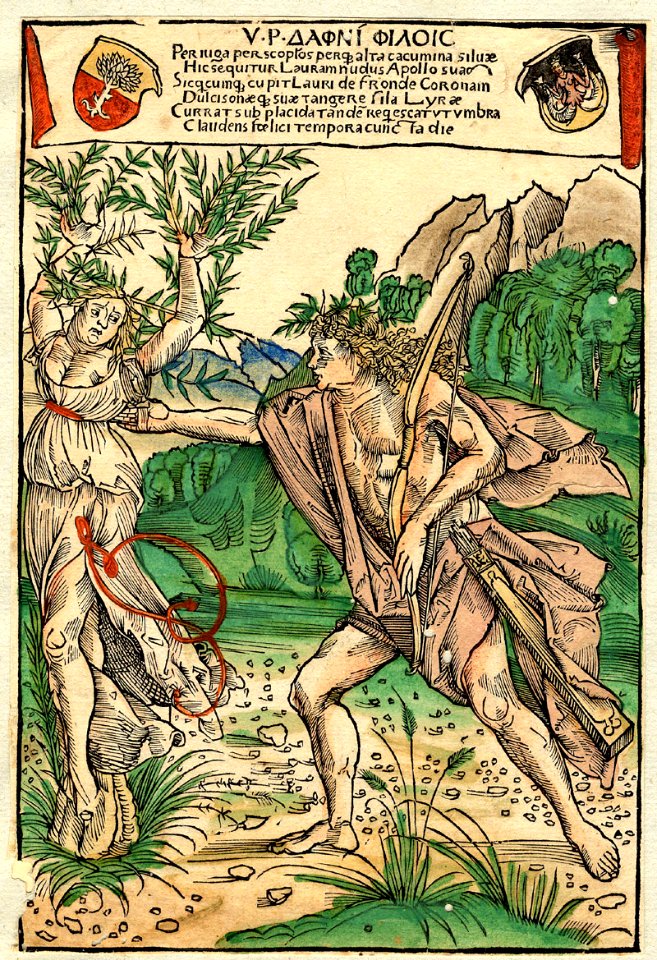 Apoll und Daphne 1502 ubs G 2 II