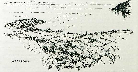 Apollona - Perilla Francesco - 1935