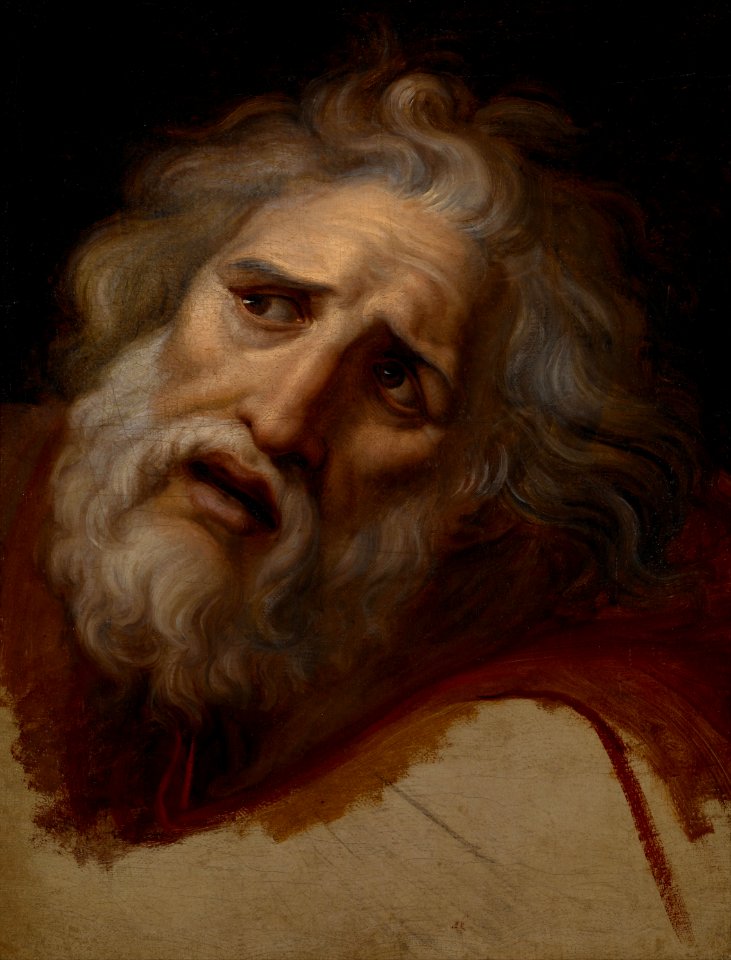 Appiani, Andrea I - Head of Laocoon - Google Art Project