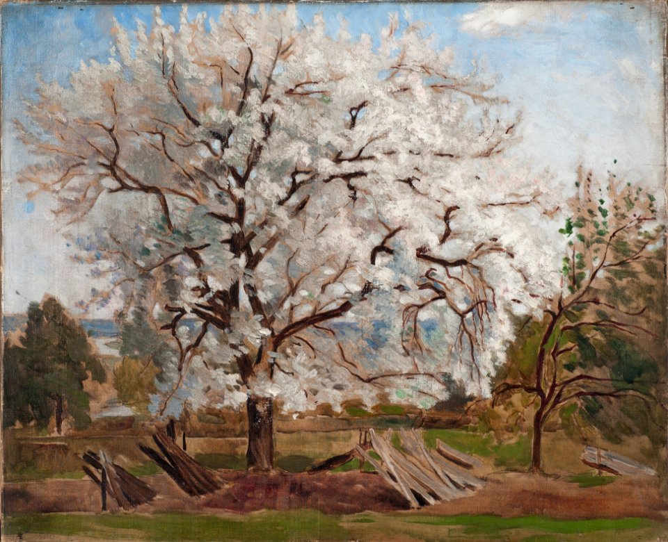 Apple Tree in Blossom (Carl Fredrik Hill) - Nationalmuseum - 18868