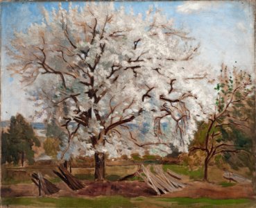 Apple Tree in Blossom (Carl Fredrik Hill) - Nationalmuseum - 18868. Free illustration for personal and commercial use.