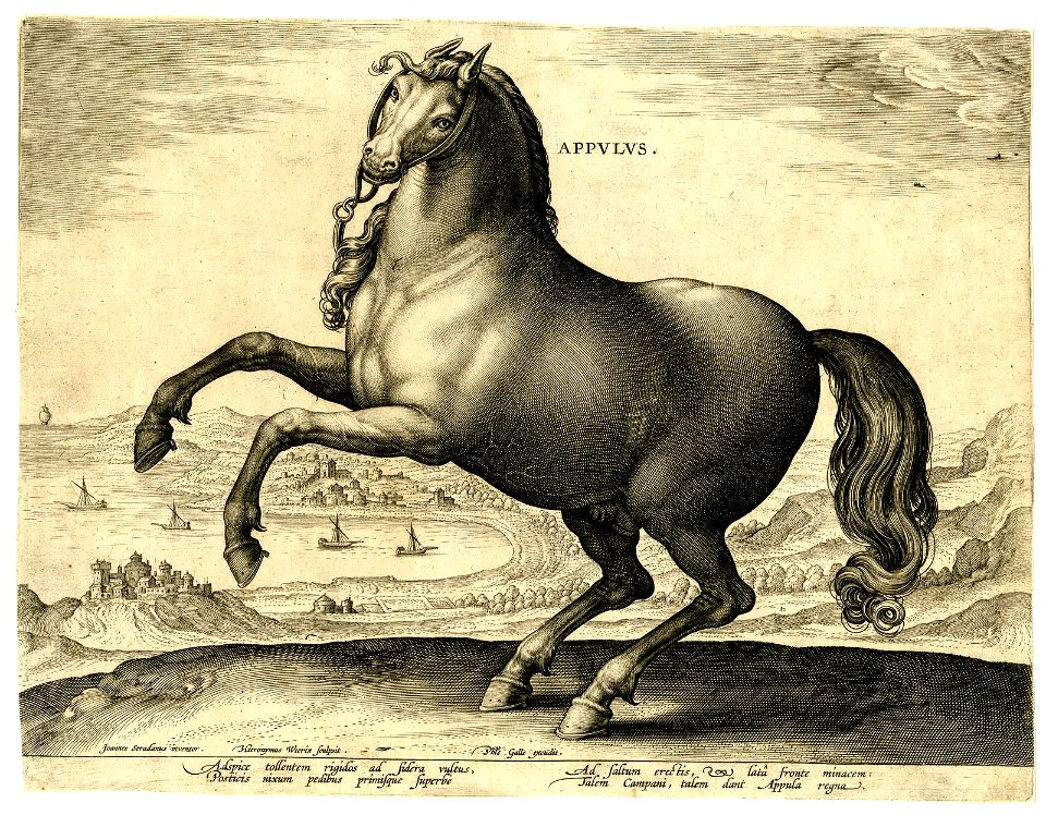 Appulus (BM 1957,0413.180)